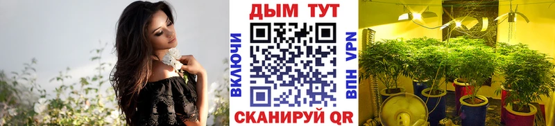 Как найти закладки Кыштым Alpha PVP Меф ГАШ АМФ Cocaine