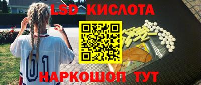 гашик Камышлов