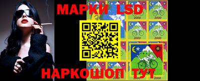 гашик Камышлов