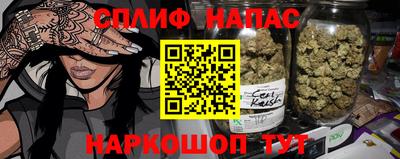 гашик Камышлов