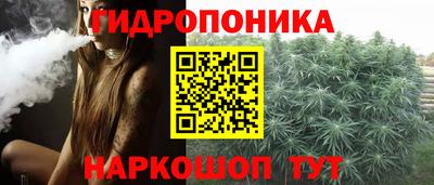 спиды Кандалакша