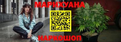 гашик Камышлов