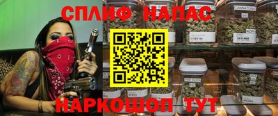 гашик Камышлов