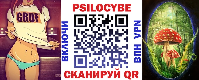 Псилоцибиновые грибы Cubensis  Кыштым 