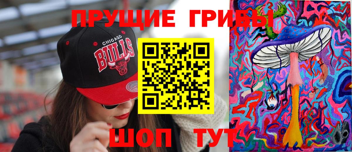 Псилоцибиновые грибы Psilocybe Кыштым