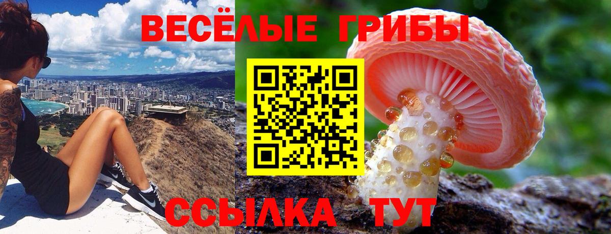 MDMA Кыштым