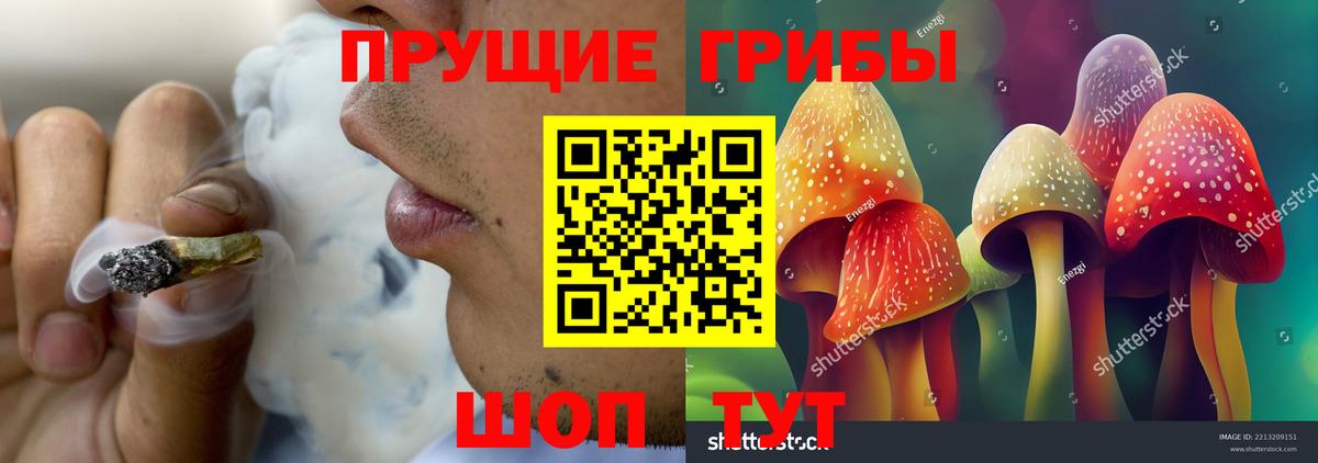 Галлюциногенные грибы Magic Shrooms  Вход с VPN  Псилоцибиновые грибы мухоморы  закладки  Кыштым 